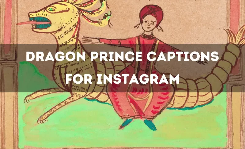 310+ Best Dragon Prince Captions For Instagram