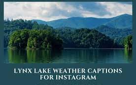 310+ Lynx Lake Weather Captions for Instagram