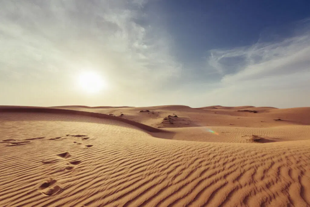 310+ Sahara Desert Captions for Instagram