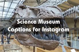 310+ Science Museum Captions for Instagram