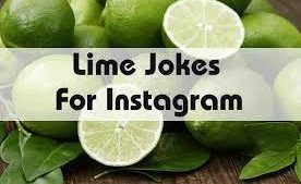350+ Lime Jokes For Instagram