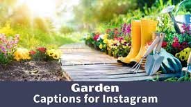Instagram Captions for Rain Garden