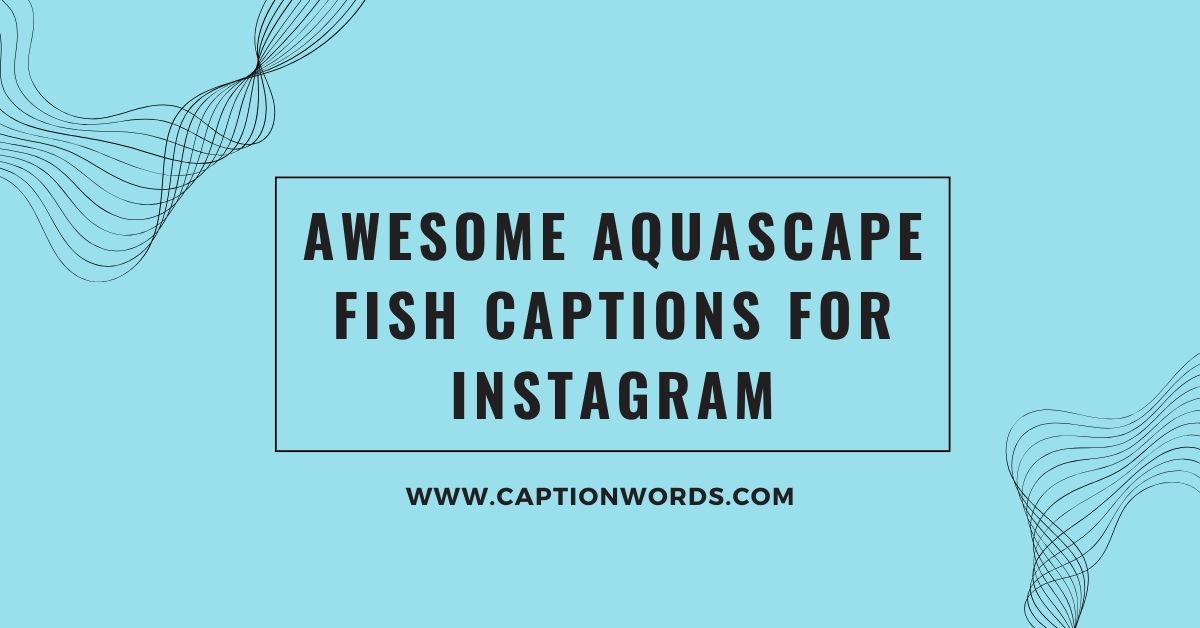 Awesome Aquascape Fish Captions for Instagram