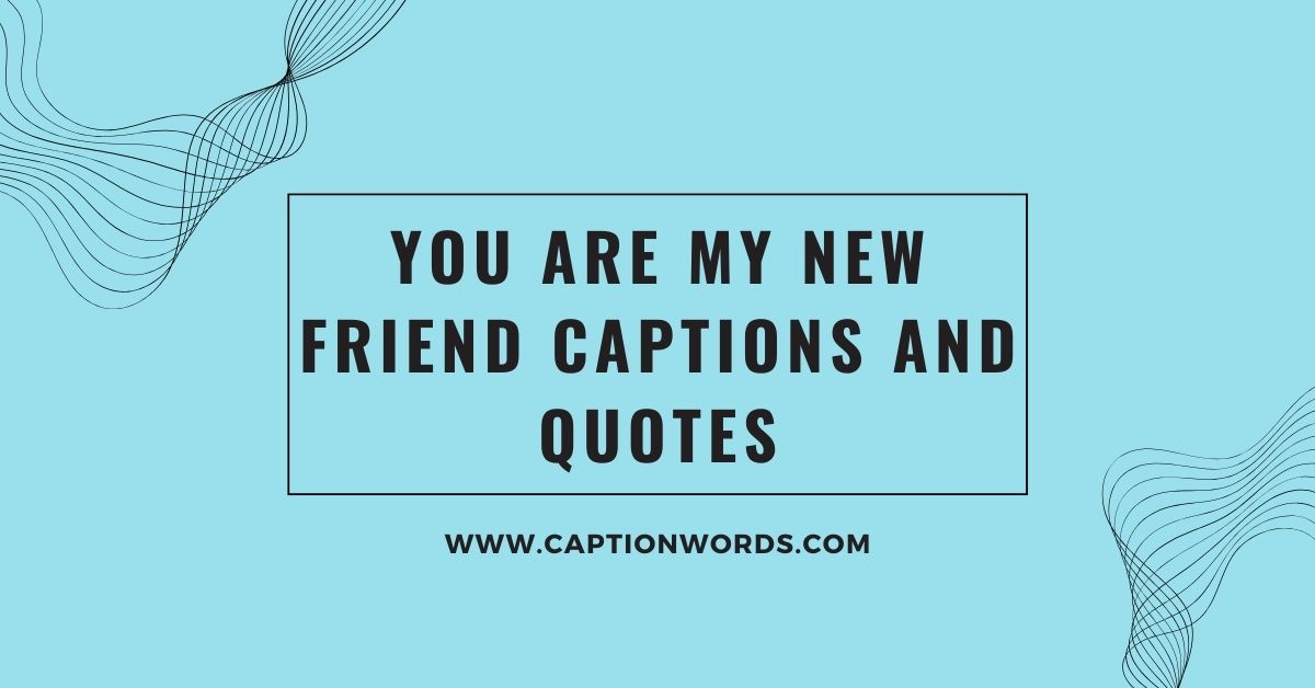 You Are My New Friend Captions and Quotes