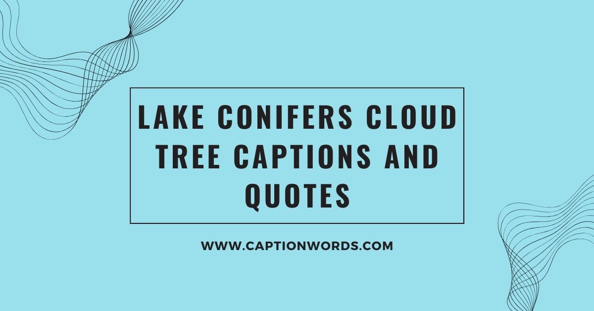 Lake Conifers Cloud Tree Captions and Quotes