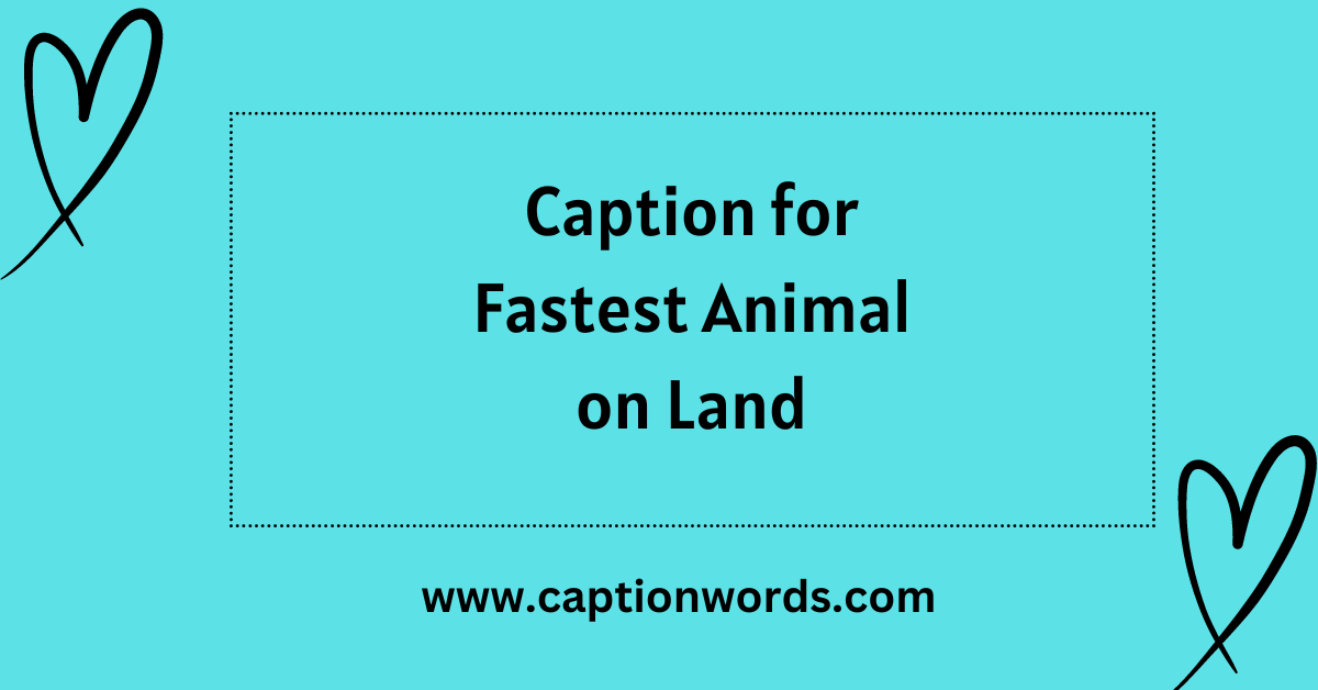 Caption for Fastest Animal on Land