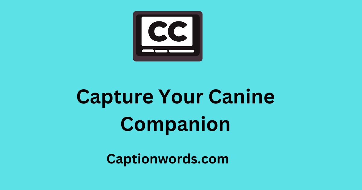 Capture Your Canine Companion