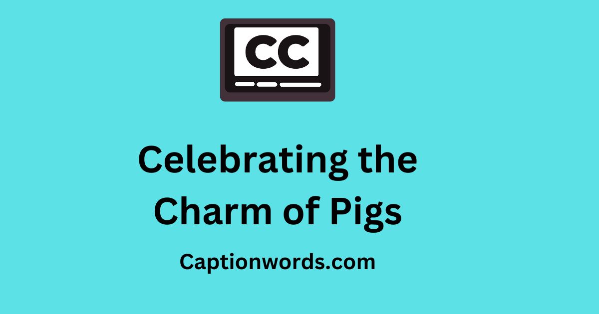 Celebrating the Charm of Pigs