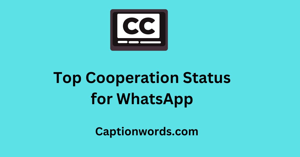 Top Cooperation Status