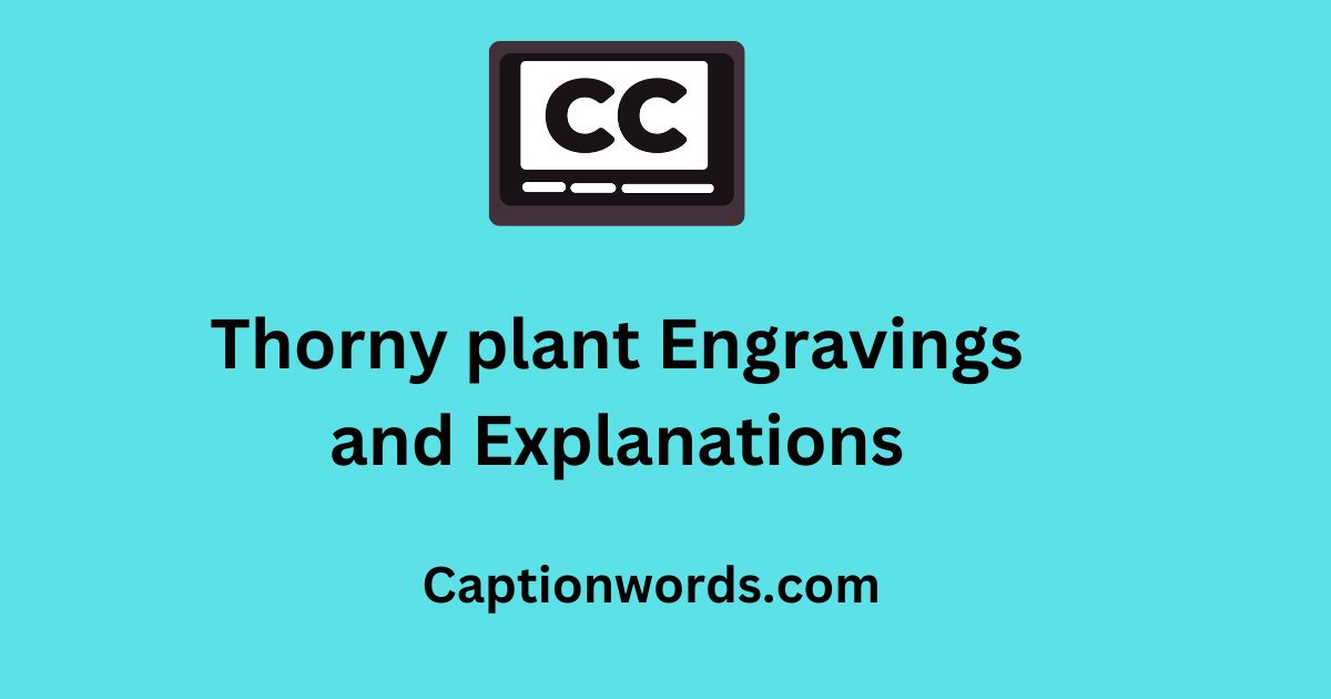 Thorny plant Engravings