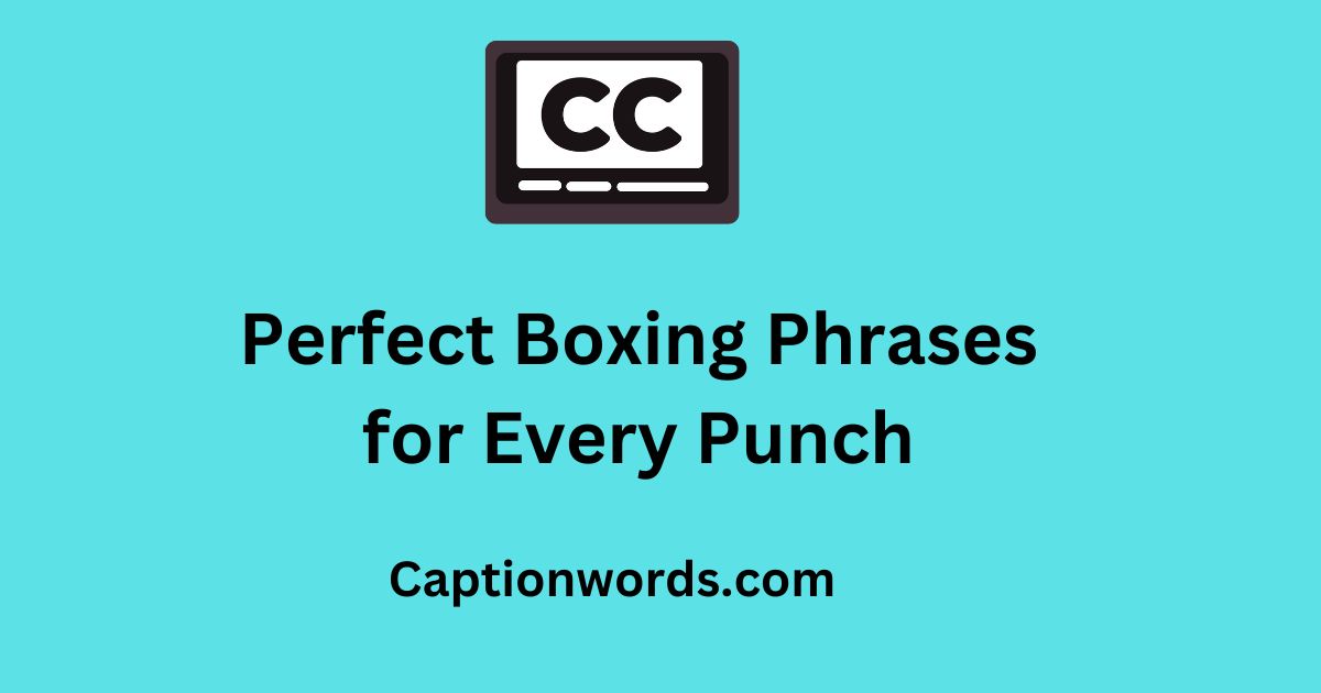 Perfect Boxing Phrases