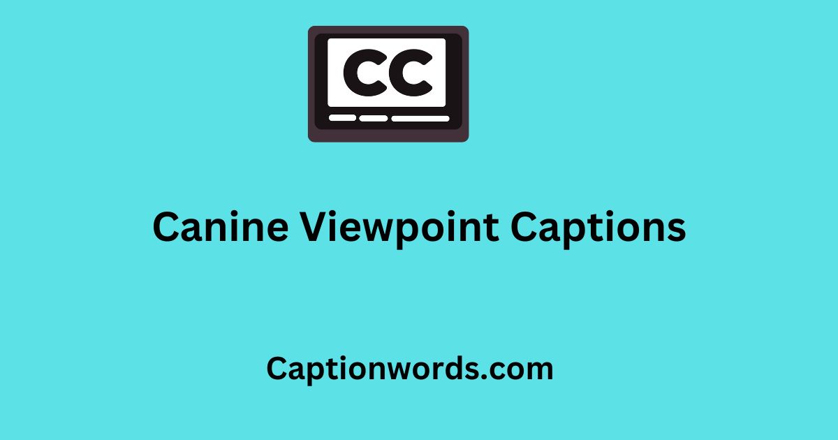 Canine Viewpoint Captions
